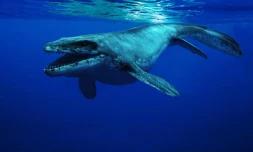 Image extraite du film "Océanosaures, voyage au c?ur des dinosaures" de Pascal Vuong