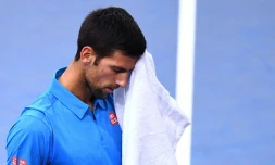 Le Serbe Novak Djokovic lors de son quart de finale perdu à Paris-Bercy face au Croate Marin Cilic, le 4 novembre 2016