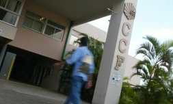 EGC (école de commerce de Saint-Denis )