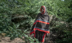 L'éleveuse Khadija Humed dans une zone complètement envahie par le prosopis, un arbuste épineux originaire d'Amérique latine, le 17 octobre 2025 à Amibara, dans la région de l'Afar, en Ethiopie
