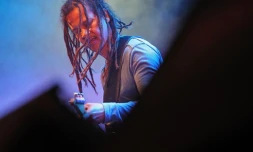 Dimanche 3 juin 2012  - Saint-Pierre - Concert de Baster au Sakifo
