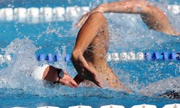 Dimanche 24 Juin 2012

 Championnats de La Réunion de natation