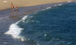 Plage de Roches Noires