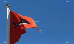 Plage de Roches Noires