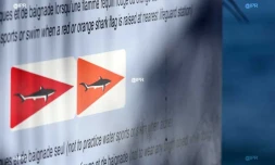 Plage de Roches Noires