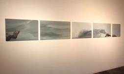 Ecole supérieure d'art de La Réunion - Projet de Lise Sorel (photo D.R)