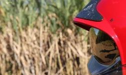 Mardi 3 juillet 20132 - Saint-Denis - Incendie dans des champs de cannes à Domenjod