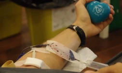 Don de sang (photo Emilie Sorres)