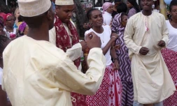 Fête des Comores (photo D.R)