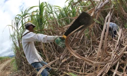 Photo archive imaz press