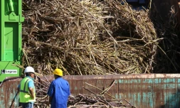 Lundi  9 Juillet 2012

Usine de Bois-Rouge