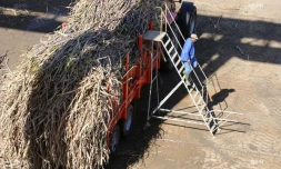 Lundi  9 Juillet 2012

Usine de Bois-Rouge