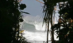 Photo archive imaz press reunion