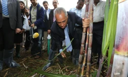 Vendredi 13 Juillet 2012
Victorin Lurel Ă la rencontre du monde agricole