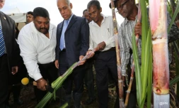Vendredi 13 Juillet 2012

Victorin Lurel à la rencontre du monde agricole