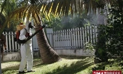 Démoustication (photo archives)