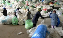 Des employées trient les déchets dans un centre de recyclage à M'Ghira, près de Tunis, le 25 novembre 2021