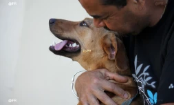 Vendredi 03 Août 2012
SPA (Société Protectrice des Animaux) Photo Cristelle Belhote