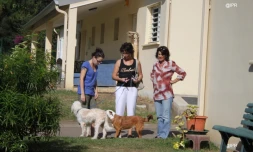 Vendredi 03 Août 2012 

SPA (Société Protectrice des Animaux) Photo Cristelle Belhote