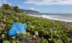 Déchets sur le sentier littoral Nord
