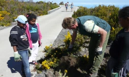 Jeudi 2 août 2012 - Action de sensibilisation de l'ONF au Maïdo (photo D.R)