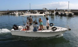 Mercredi 8 août 2012 - Les opérations de marquage de requins menées par l'IRD ont repris dans l'Ouest