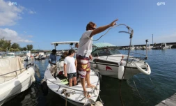 Mercredi 8 août 2012 - Les opérations de marquage de requins menées par l'IRD ont repris dans l'Ouest