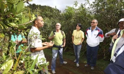 Samedi 11 août 2012 - Journée découverte sur le site de l'Eden à Bras Panon (Photo Philippe Boyer)