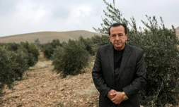 Suleiman Sheikho, dans son champ d'oliviers à Arbil dans le Kurdistan irakien, le 22 février 2020