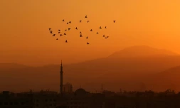 Coucher de soleil à Arbin, le 7 mars 2017 dans la région de la Ghouta orientale, à l'est de Damas