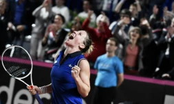 Pauline Parmentier exulte après avoir offert le 2e point à la France contre l'Espagne, en Fed Cup, le 22 avril 2017 à Roanne