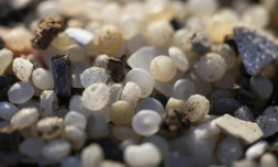 Des granulés plastiques industriels (GPI) échoués sur la plage de la Pineda, à Tarragone, en Catalogne, le 12 janvier 2024