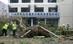 Des ouvriers dégagent un arbre tombé à terre lors du passage du super typhon Ragasa à Yangjiang, dans la province du Guangdong, dans le sud de la Chine, le 25 septembre 2025