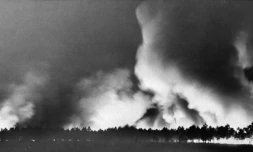 Photo prise le 22 août 1949 du gigantesque incendie dans le massif forestier des Landes de Gascogne qui fit 82 morts en Gironde