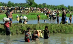 Des réfugiés rohingyas, fuyant les violences en Birmanie, arrivent à Palongkhali, près d'Ukhia, le 16 octobre 2017 au Bangladesh