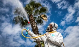 Un employé du ministère de la Santé marocain désinfecte une rue de Rabat, le 22 mars 2020