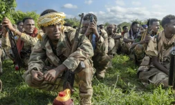 Des soldats de l'armée nationale de Somalie (SNA) à Awdheegle, une des localités récemment reprises aux rebelles islamistes shebab, le 11 novembre 2025 