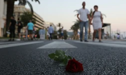 Une rose sur La promenade des Anglais à Nice en hommage aux victimes de l'attentat du soir du 14 juillet 2016
