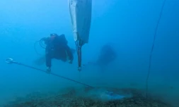 Des plongeurs professionnels installent un système d'amarrage écologique dans la baie de Porto Rafti, près d'Athènes, afin de protéger les herbiers de posidonie sensibles des fonds marins, le 11 février 2026 en Grèce