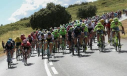 Le peloton du Tour de France groupé lors de la 11e étape en direction de Montpellier, le 13 juillet 2016