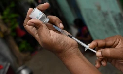   Ces images ne prouvent pas la présence de "parasites" vecteurs d'une maladie tropicale dans les vaccins
