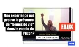   Attention, ces expériences du "Dr. Franc Zalewski" ne prouvent pas qu'il y a "une forme de vie" dans le vaccin