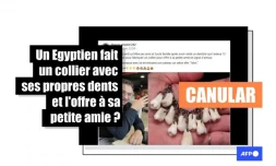   Attention,  cet homme a truqué sa photo pour faire une blague