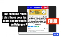   Non, il n'y a pas eu de décision d'attribuer des "chèques repas" en Belgique pour les jours non travaillés