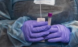   Non, les autorités sanitaires américaines n'ont pas abandonné la méthode des tests PCR