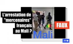   Non, cette vidéo ne montre pas l'arrestation de "mercenaires français" par des soldats maliens