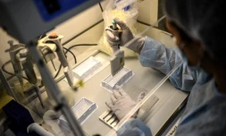   "La vaccination anti-Covid augmente le risque d'infection" : attention à cette affirmation trompeuse