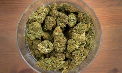  Les approximations de Gérald Darmanin sur les dangers du cannabis