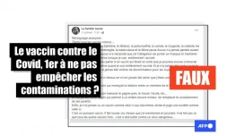 Cette comparaison entre les vaccins contre le Covid-19 et les vaccins traditionnels est trompeuse