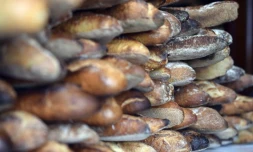   Non, le prix de la baguette de pain n'est pas encadré comme l'a affirmé le député LFI Alexis Corbière